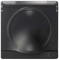 Лицевая панель Simon82 для 1-м. розетки 220В с крышкой графит картинка